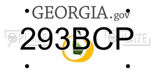 293BCP Georgia License Plate