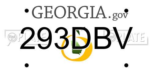 293DBV Georgia License Plate