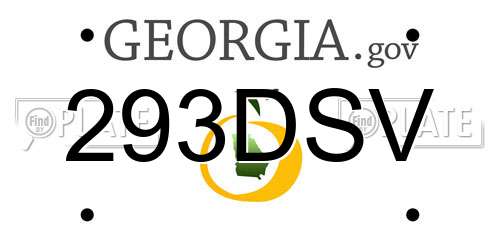 293DSV Georgia License Plate
