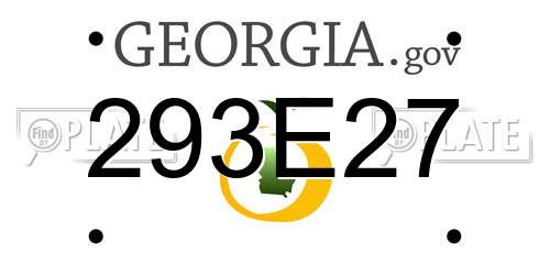 293E27 Georgia License Plate