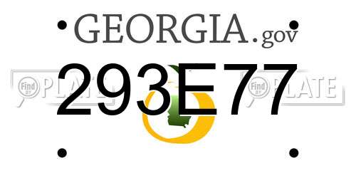 293E77 Georgia License Plate