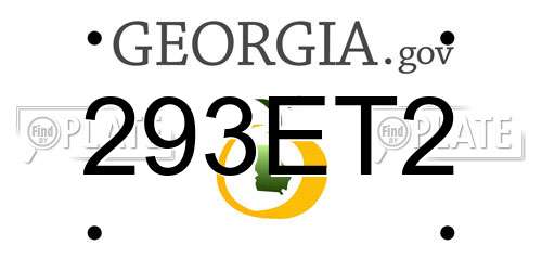 293ET2 Georgia License Plate