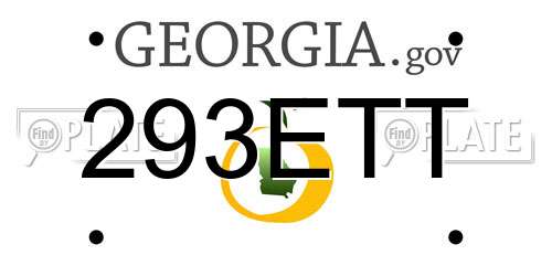 293ETT Georgia License Plate