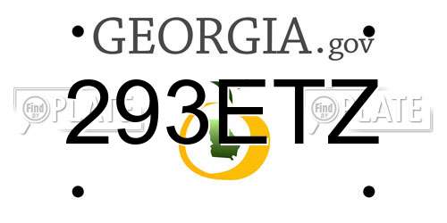 293ETZ Georgia License Plate