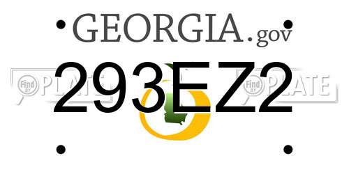 293EZ2 Georgia License Plate