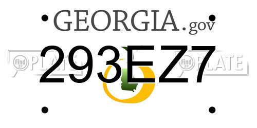 293EZ7 Georgia License Plate