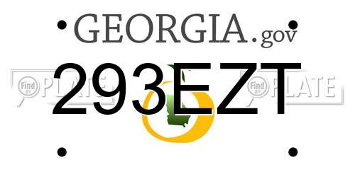 293EZT Georgia License Plate