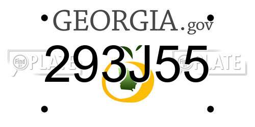 293J55 Georgia License Plate
