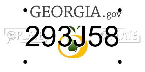 293J58 Georgia License Plate