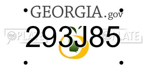 293J85 Georgia License Plate