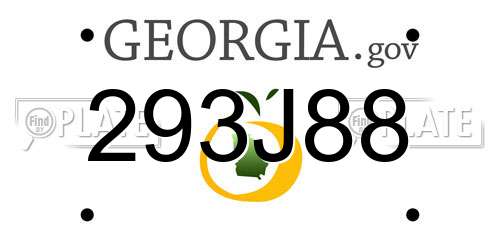 293J88 Georgia License Plate
