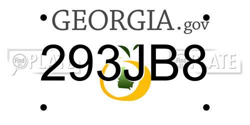 293JB8 Georgia License Plate