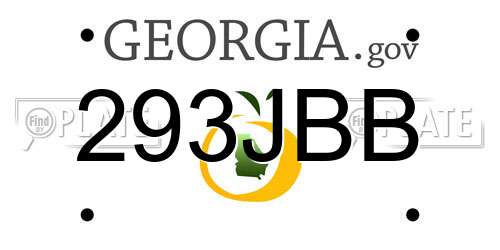 293JBB Georgia License Plate
