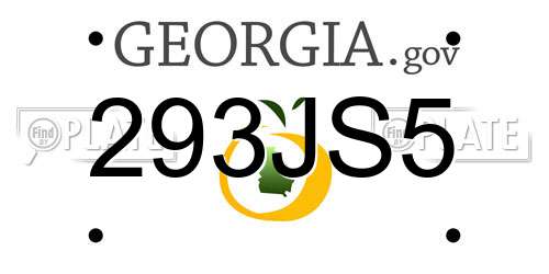 293JS5 Georgia License Plate