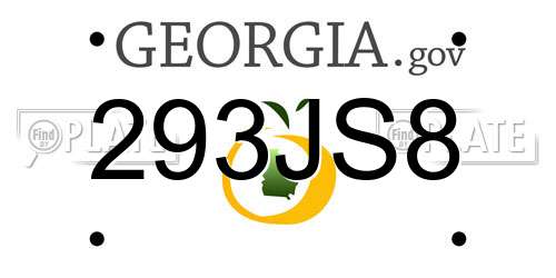 293JS8 Georgia License Plate