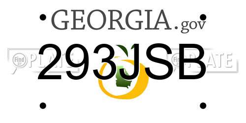 293JSB Georgia License Plate