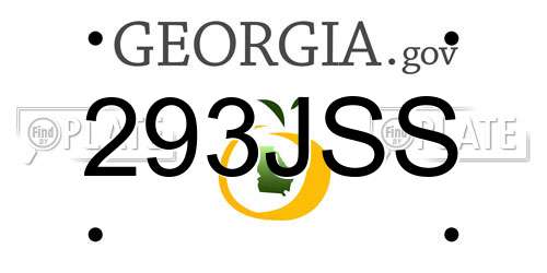 293JSS Georgia License Plate