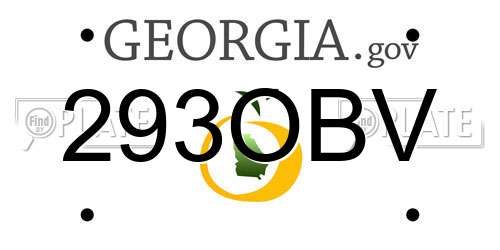 293OBV Georgia License Plate