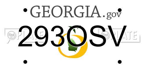 293OSV Georgia License Plate