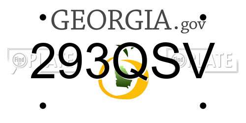 293QSV Georgia License Plate