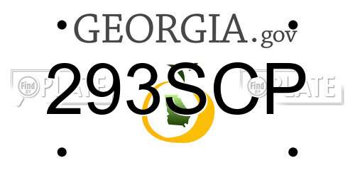 293SCP Georgia License Plate
