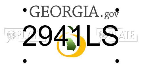 2941LS Georgia License Plate