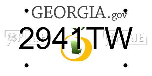 2941TW Georgia License Plate