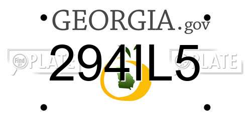 294IL5 Georgia License Plate