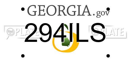294ILS Georgia License Plate