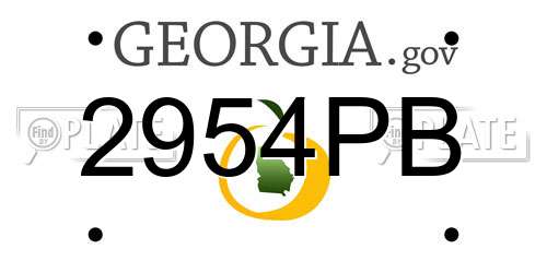 2954PB Georgia License Plate