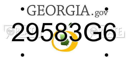 29583G6 Georgia License Plate