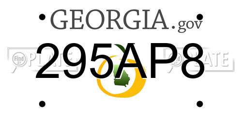 295AP8 Georgia License Plate