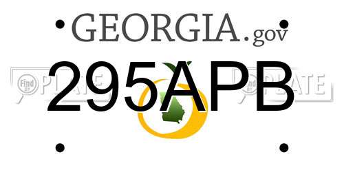 295APB Georgia License Plate
