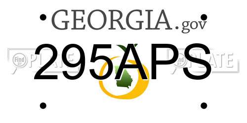 295APS Georgia License Plate