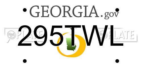 295TWL Georgia License Plate