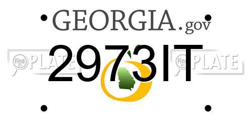 2973IT Georgia License Plate