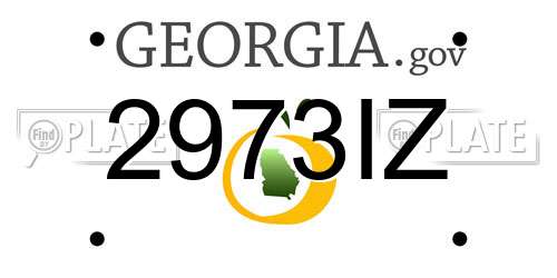 2973IZ Georgia License Plate