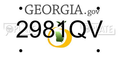 2981QV Georgia License Plate