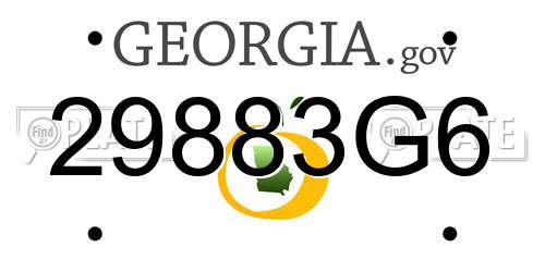 29883G6 Georgia License Plate