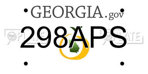 298APS Georgia License Plate