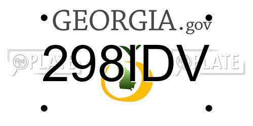298IDV Georgia License Plate