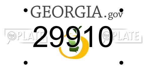 29910 Georgia License Plate