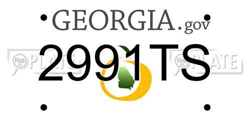 2991TS Georgia License Plate