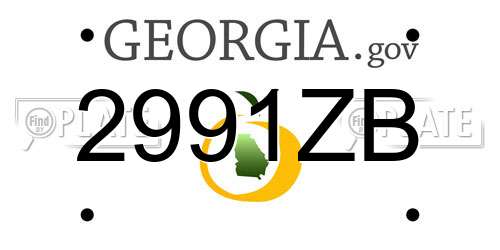 2991ZB Georgia License Plate