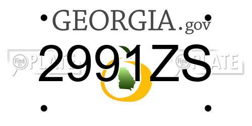 2991ZS Georgia License Plate