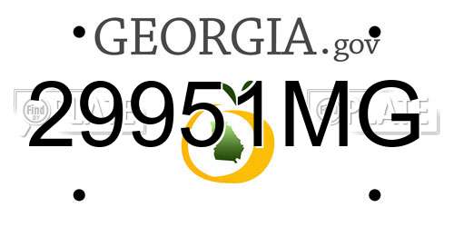 29951MG Georgia License Plate