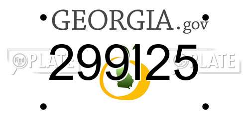 299I25 Georgia License Plate