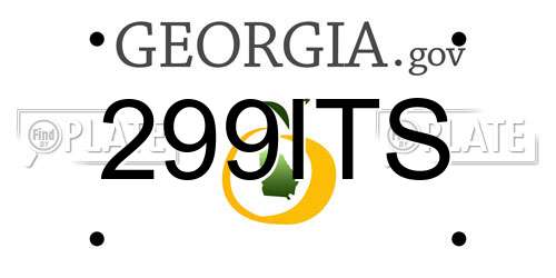 299ITS Georgia License Plate