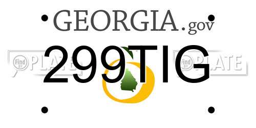 299TIG Georgia License Plate