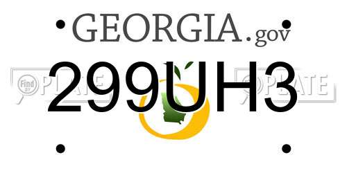 299UH3 Georgia License Plate